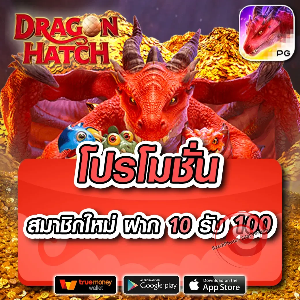 spin345 เข้าสู่ระบบ